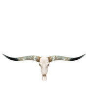 Authentic Longhorn Skull - Coastal Cowgirls