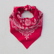 Western Bandana Scarf - Coastal Cowgirls